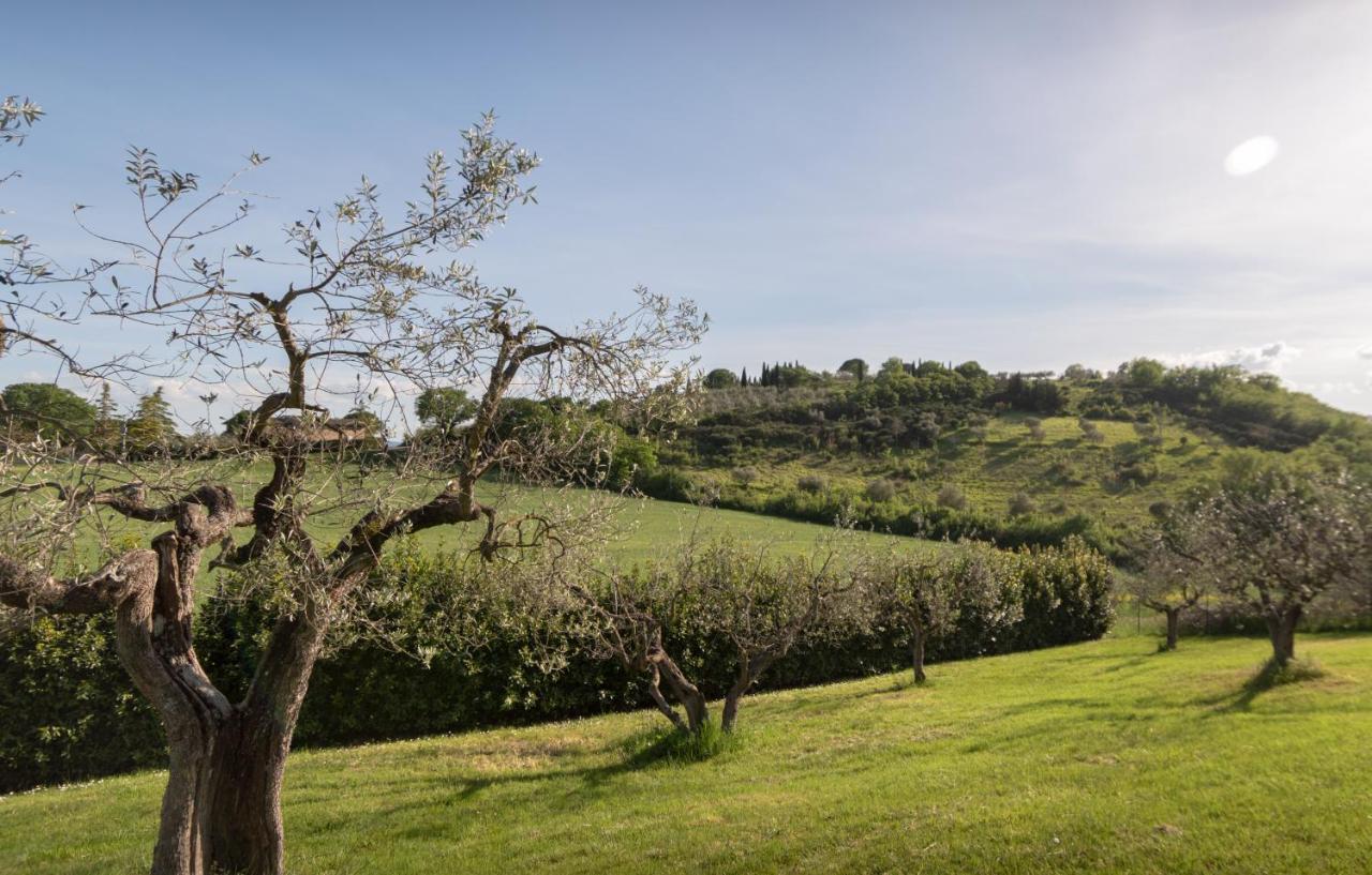 Residenza Il Falchetto Assisi Exterior foto